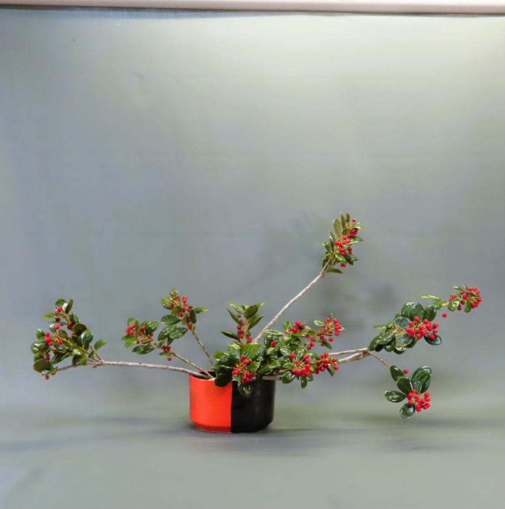 ����Ȋ�ŉԂ𐶂��Ă݂܂��񂩁I