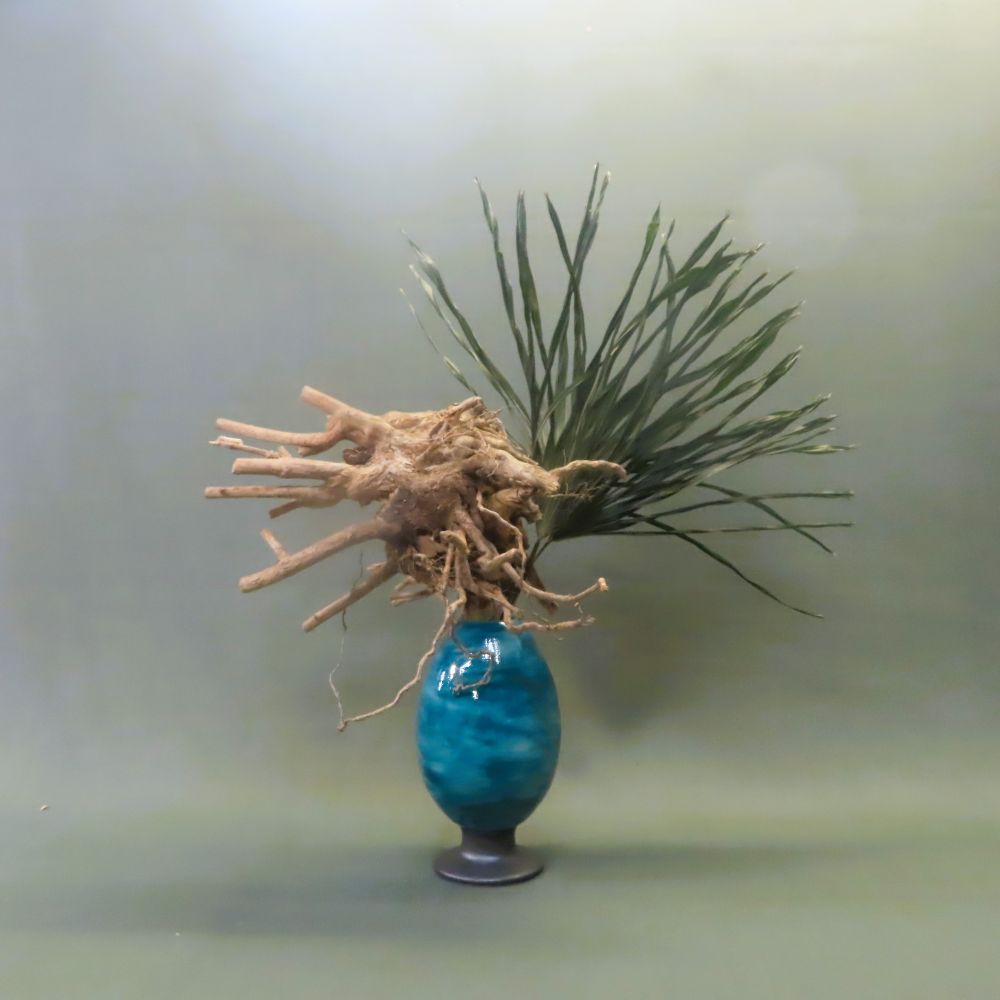 ����Ȋ�ŉԂ𐶂��Ă݂܂��񂩁I