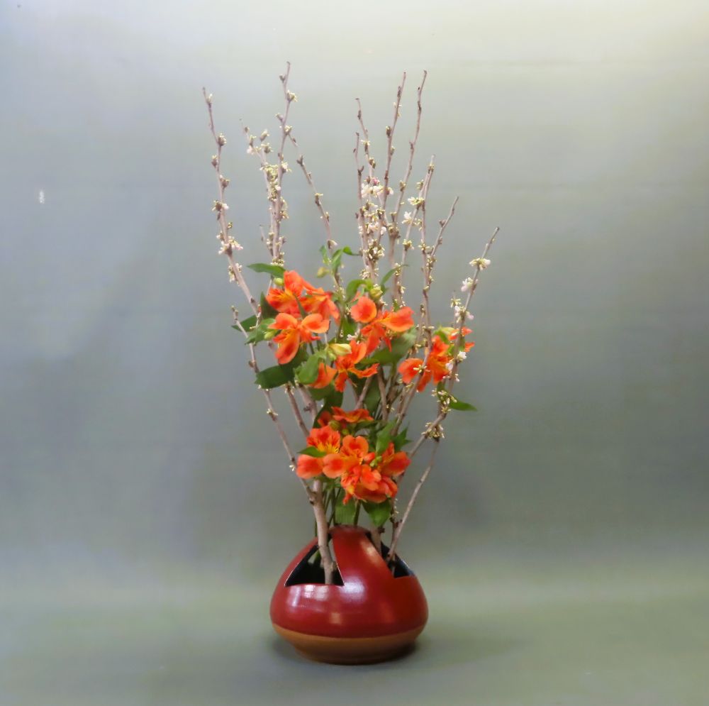 ����Ȋ�ŉԂ𐶂��Ă݂܂��񂩁I