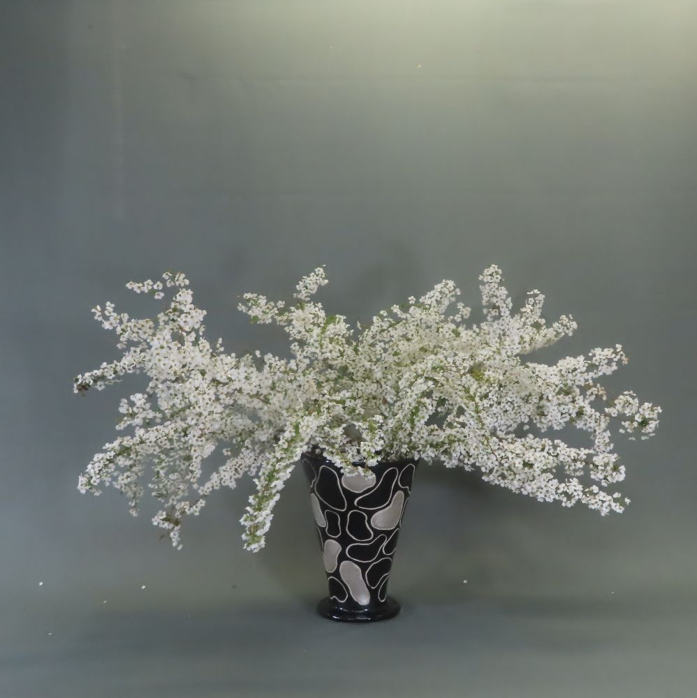 ����Ȋ�ŉԂ𐶂��Ă݂܂��񂩁I