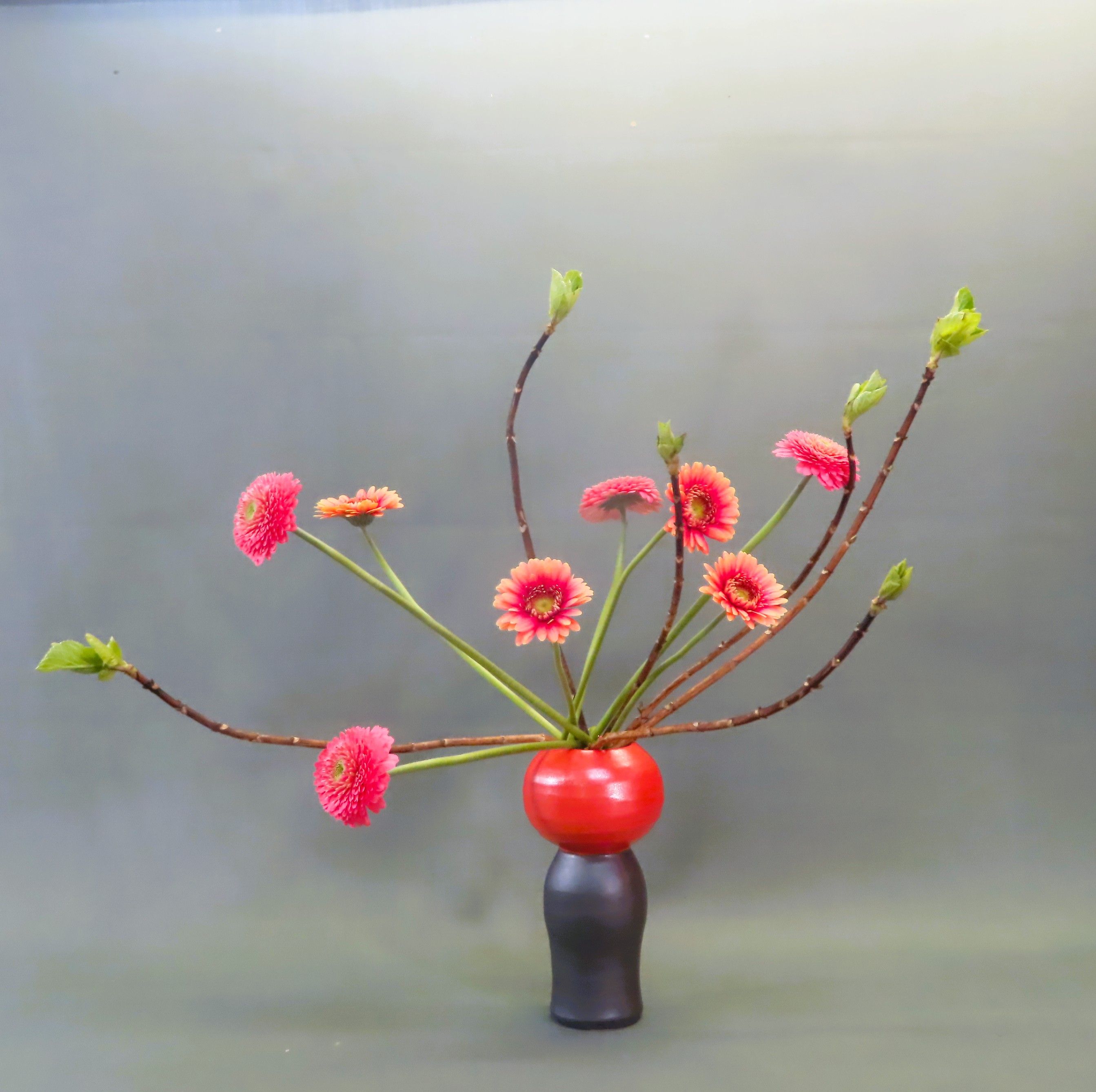 ����Ȋ�ŉԂ𐶂��Ă݂܂��񂩁I