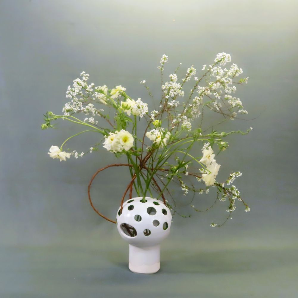 ����Ȋ�ŉԂ𐶂��Ă݂܂��񂩁I