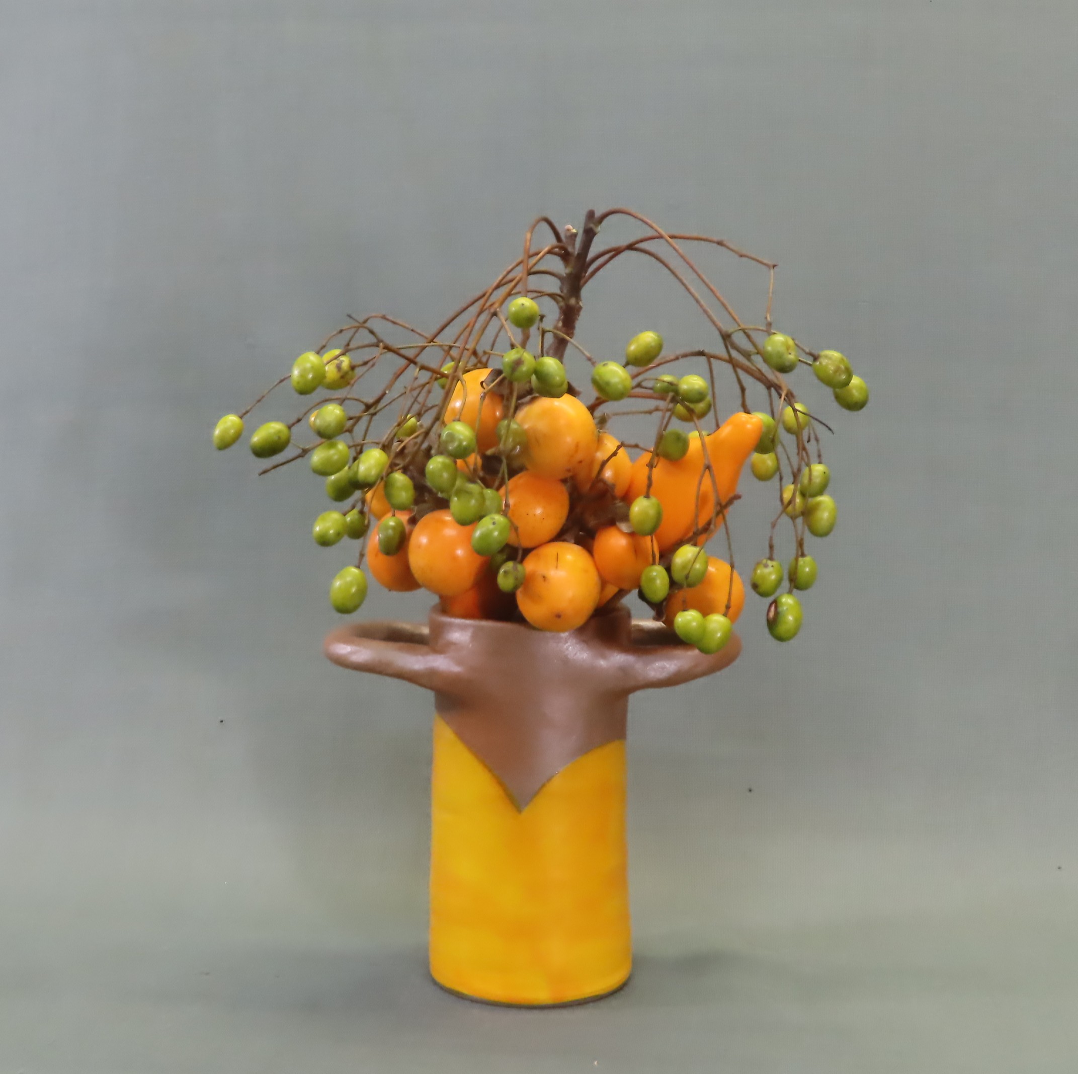 ����Ȋ�ŉԂ𐶂��Ă݂܂��񂩁I