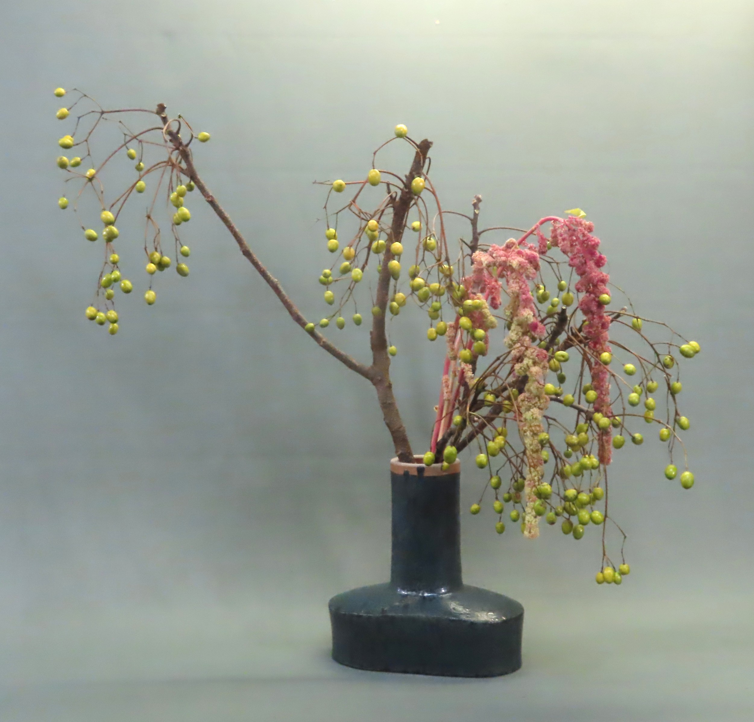 ȊŉԂ𐶂Ă݂܂񂩁I