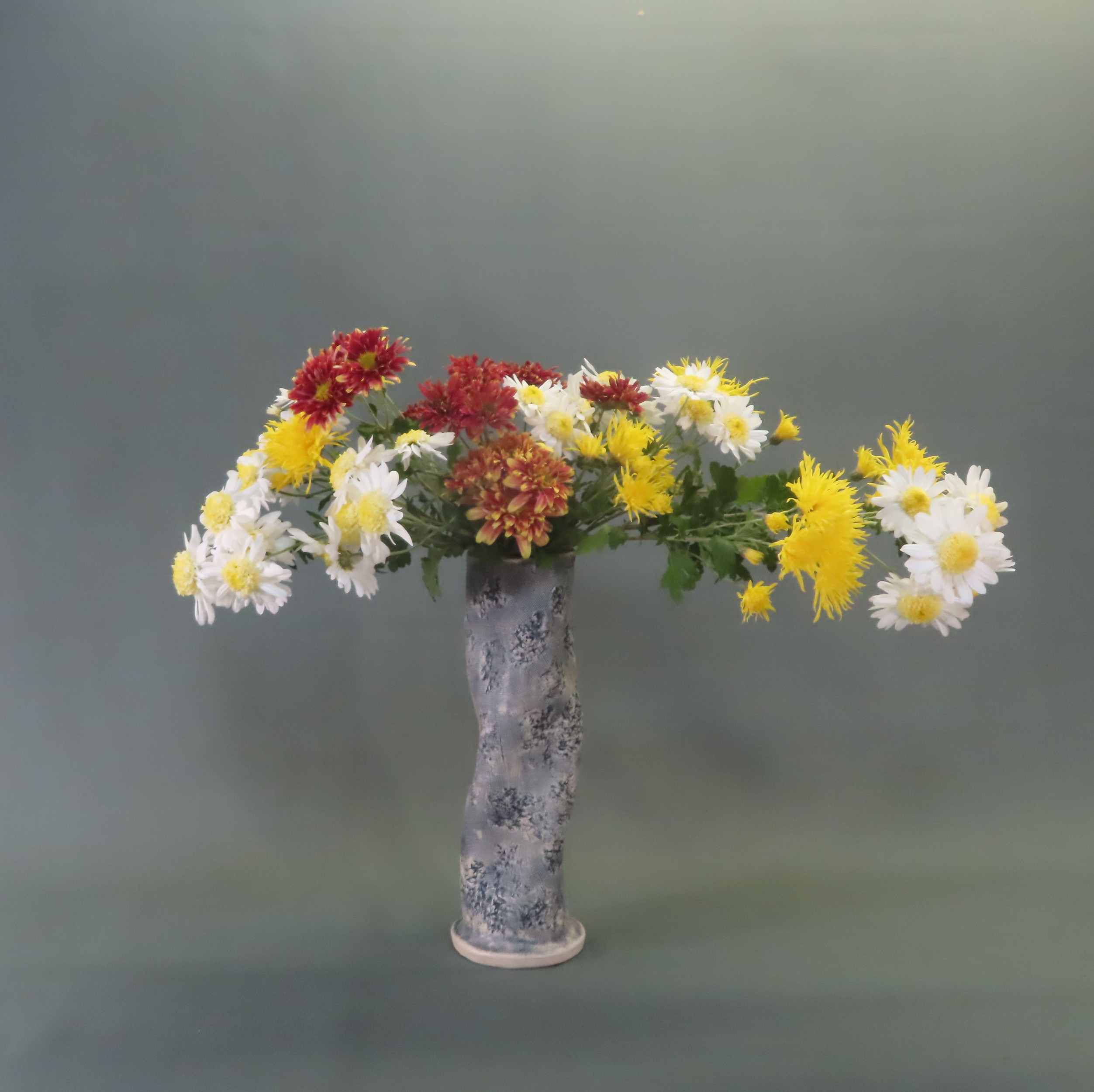 ȊŉԂ𐶂Ă݂܂񂩁I